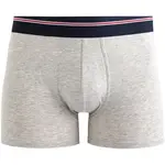 CELIO MIKE Pánska spodná bielizeň, sivá, veľkosť
