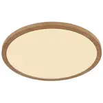 Stropní svítidlo Sapana 41562-18WW LED PL1