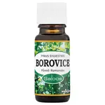 Saloos Přírodní éterický olej Borovice 10 ml