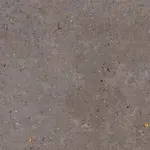 Dlažba Pastorelli Biophilic dark grey 120x120 cm mat P009412