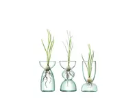 Sada váz Canopy, výška 13 cm, čirá - LSA International