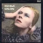David Bowie: Hunky Dory LP - David Bowie