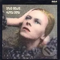 David Bowie: Hunky Dory LP - David Bowie