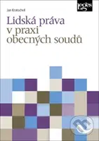 Lidská práva v praxi obecných soudů - Jan Kratochvíl - kniha z kategorie Mezinárodní právo
