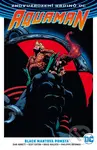 Aquaman 2: Black Mantova pomsta - Dan Abnett - kniha z kategorie Komiksy