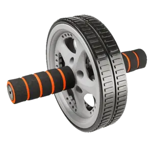 Power System Posilovací kolečko Dual Core