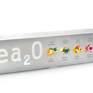 Biogena Tea2O Maxi porcované čaje 6x10 ks