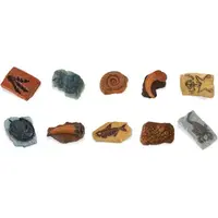 Safari Ltd. Tuba Fosílie