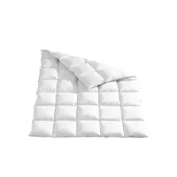 Sleeptex CELOROČNÍ PŘIKRÝVKA, 155/220 cm, peří, prachové peří