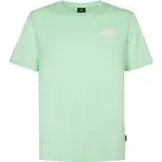 O'Neill CHEST PRINT Pánské tričko, světle zelená, velikost