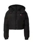 Tommy Jeans Zimná bunda 'ALASKA'  čierna