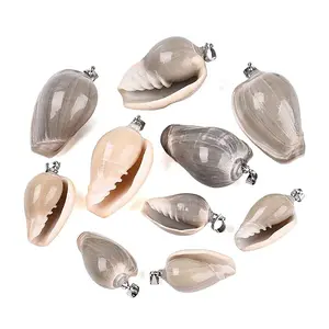 Brass & Natural Oliva Shell Pendants
