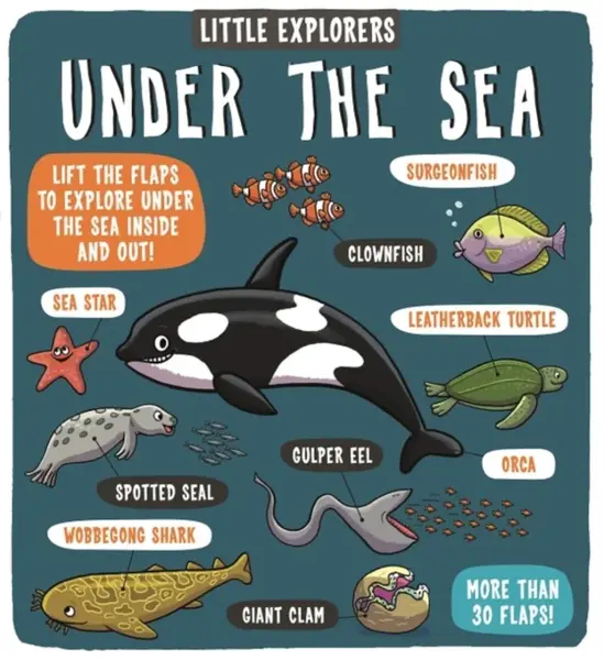 Little Explorers: Under the Sea - Dynamo Ltd.