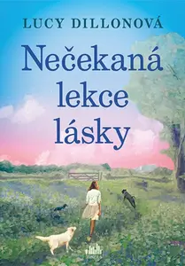 Nečekaná lekce lásky (poškozené) - Lucy Dillon