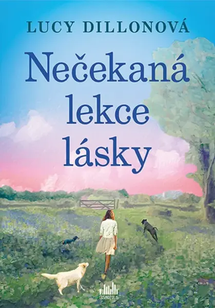 Nečekaná lekce lásky (poškozené) - Lucy Dillon