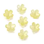 Acrylic Bead Caps