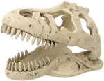 Repti Planet Dekorace T-REX lebka 13,3x8,5x9cm