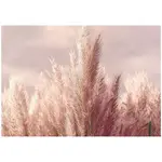 Wallarena FOTOTAPETA Tráva Boho Příroda 250x175