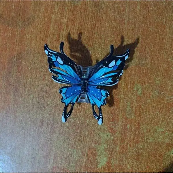Resin Claw Hair Clips