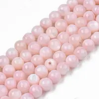 Natural Freshwater Shell Beads Strands