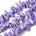 Dyed Natural Trochus Shell Beads Strands