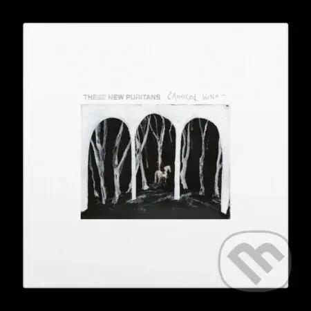 These New Puritans: Crooked Wing - These New Puritans