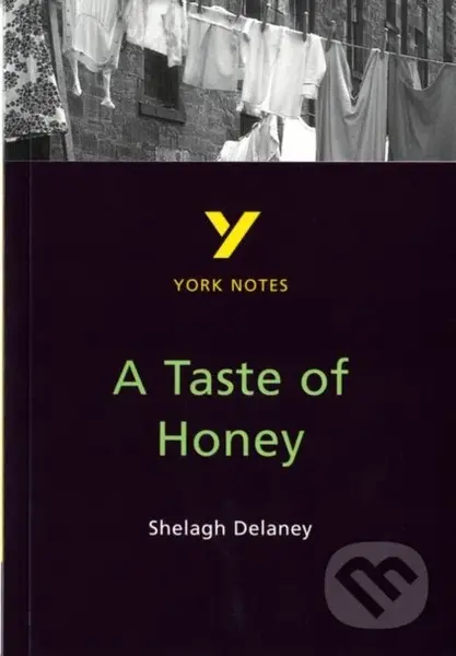 A Taste of Honey everything you need to catch up, study and prepare for the 2025 and 2026 exams - kniha z kategorie Pro děti