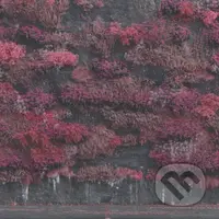 Sleep Token: Even In Arcadia  LP (2 LP) - Sleep Token