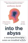 Into the Abyss (A neuropsychiatrist's notes on troubled minds) - kniha z kategorie Humanitní a společenské vědy