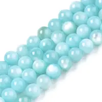 Natural Freshwater Shell Beads Strands