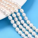 Natural Cultured Freshwater Pearl Beads Strands
