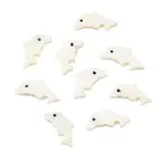 Natural Freshwater Shell Dolphin Beads