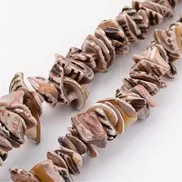 Natural Shell Bead Strands