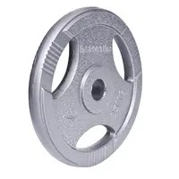 inSPORTline Litinový olympijský kotouč  Hamerton 25 kg 50 mm