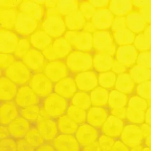 Barva Pébéo Fantasy Prisme 45ml – 60 Fluorescent yellow