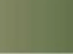 Pastel Caran d'Ache Neocolor II 229 Dark green