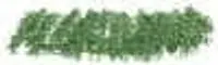 Sennelier olejový pastel Large 36ml – 085 Chrome Green Medium