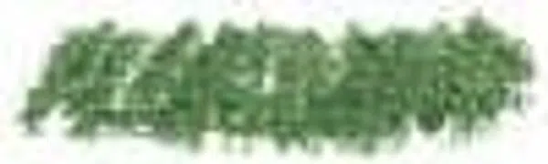 Sennelier olejový pastel Large 36ml – 085 Chrome Green Medium