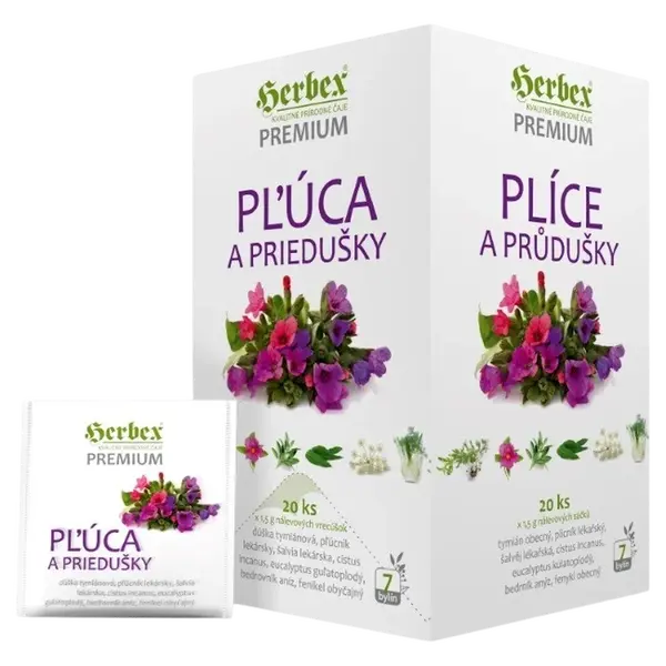 HERBEX Plíce a průdušky nálevové sáčky 20 x 1.5 g
