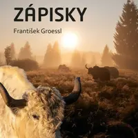 Pastevcovy zápisky (Defekt) - František Groessl