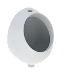 Geberit Selnova - Pisoár, horní přívod, bílá 502.790.00.1