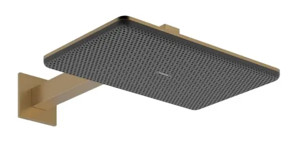 Hansgrohe Raindance Alive Q - Hlavová sprcha, 21x34 cm, 2 prúdy, EcoSmart, kefovaný bronz 24551140