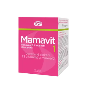 GS Mamavit 1 Plánování a 1. trimestr, 90 tablet