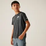 Dětské funkční tričko regatta alvarado ix šedá 152