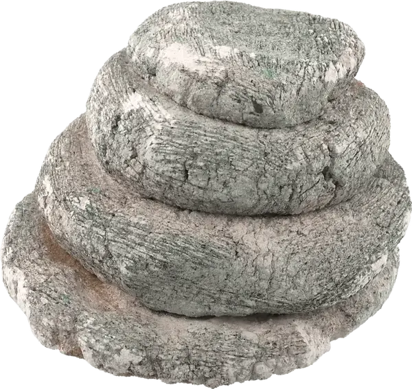 Dekorace Aqua Excellent želví ostrov