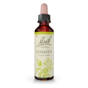ORIGINAL BACH® Clematis 20 ml