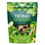 TRIBAL Rewards Apple & Mint & Ginger pamlsek pro psy 125 g