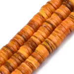 Natural Freshwater Shell Beads Strands