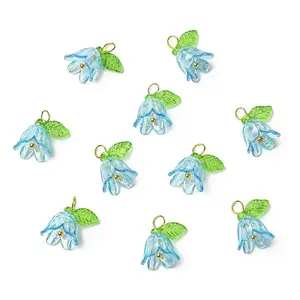Transparent Acrylic Pendants
