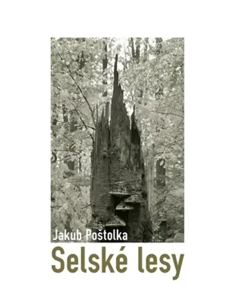 Selské lesy - Jakub Poštolka